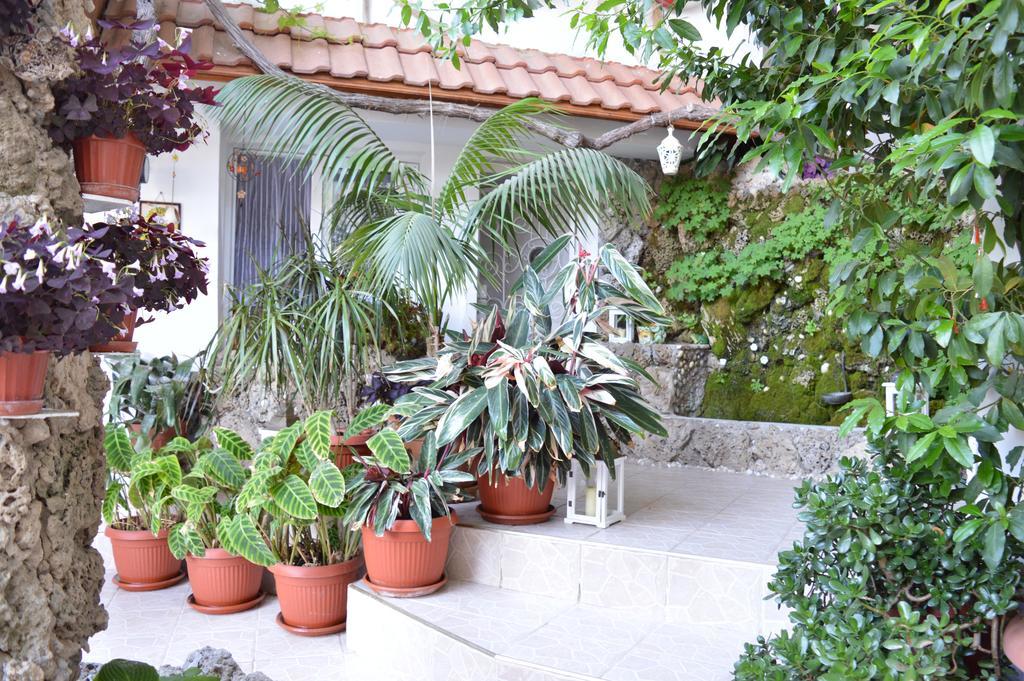 Family Hotel Sofi Süzebolu Dış mekan fotoğraf