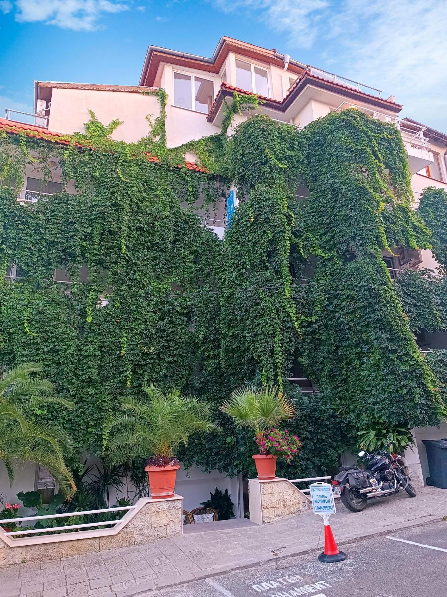 Family Hotel Sofi Süzebolu Dış mekan fotoğraf